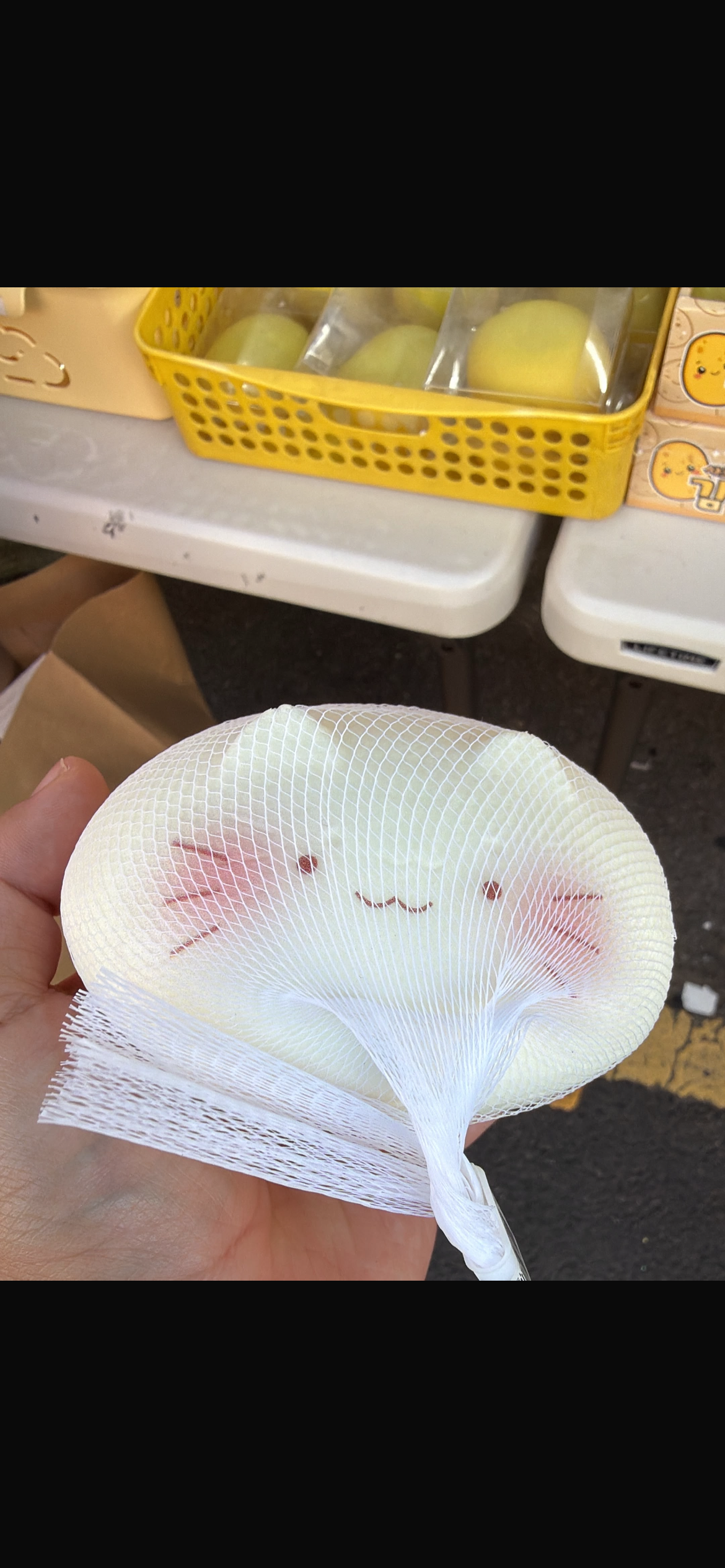 Gato blanco