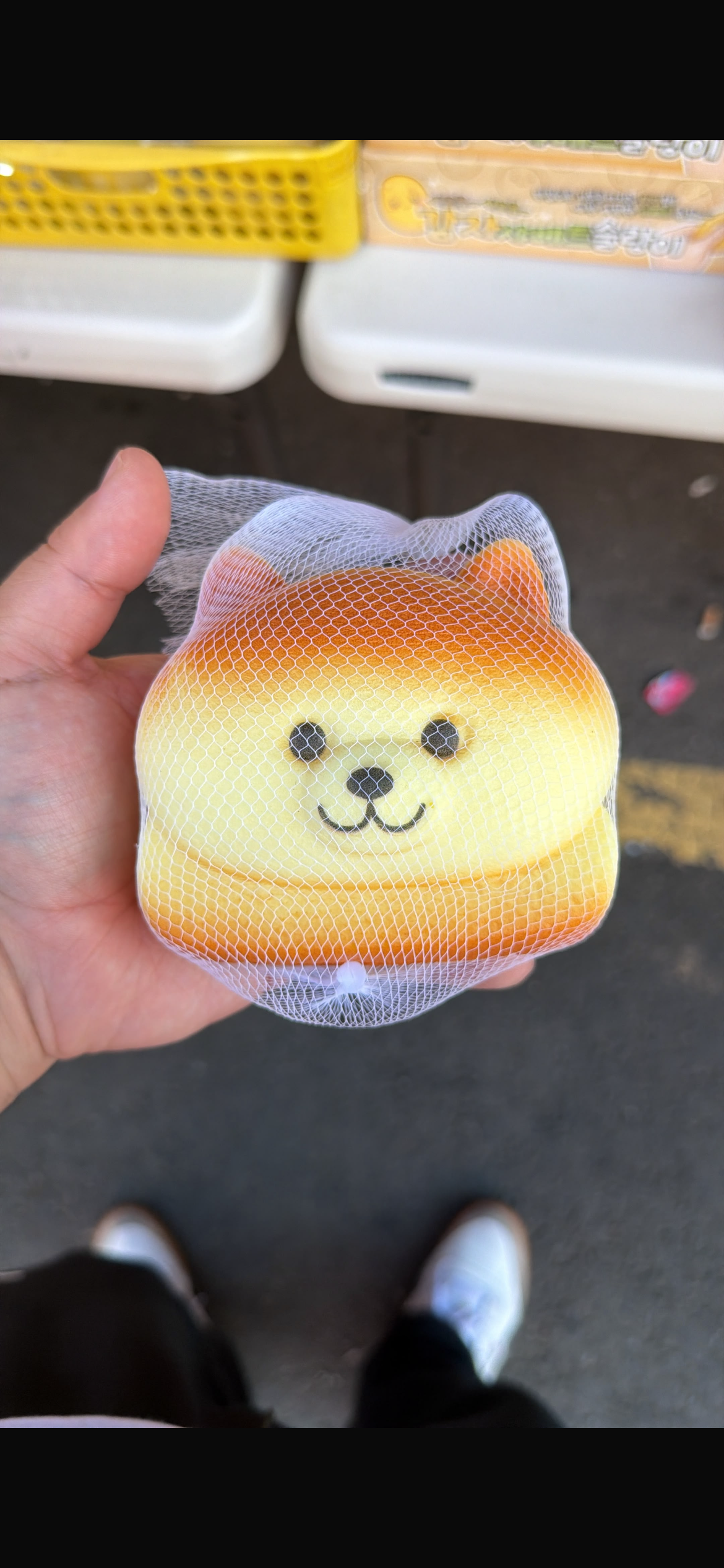 Oso pan